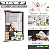Windhager Insektenschutz Rollo Fenster Plus - 2