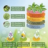 Janolia Citronella Armbänder, 12 Stück Armband und 32 Stück Aufkleber, Hergestellt aus pflanzlichen ätherischen Ölen, Sicheres für Indoor, Outdoor, Kinder, Erwachsene - 5