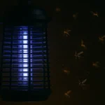 Mücken Licht im Vergleich – so locken oder vertreiben Sie Insekten gezielt