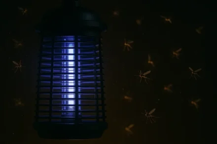 Mücken Licht im Vergleich – so locken oder vertreiben Sie Insekten gezielt