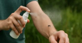 mückenspray